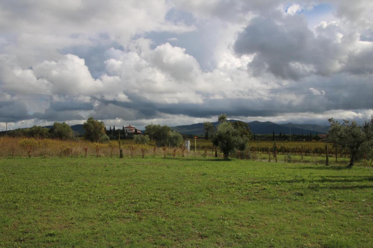 Podere Campo Alle Serpi Bibbona Exterior foto
