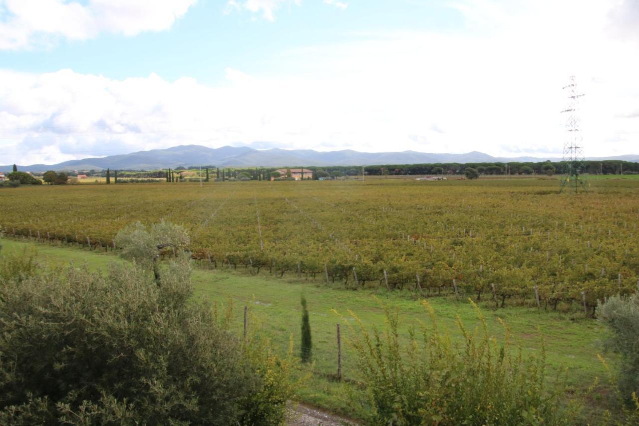 Podere Campo Alle Serpi Bibbona Exterior foto