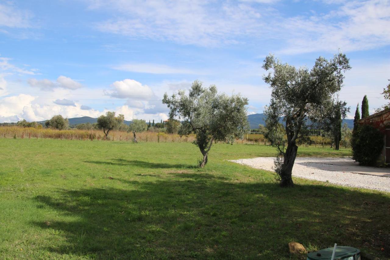 Podere Campo Alle Serpi Bibbona Exterior foto