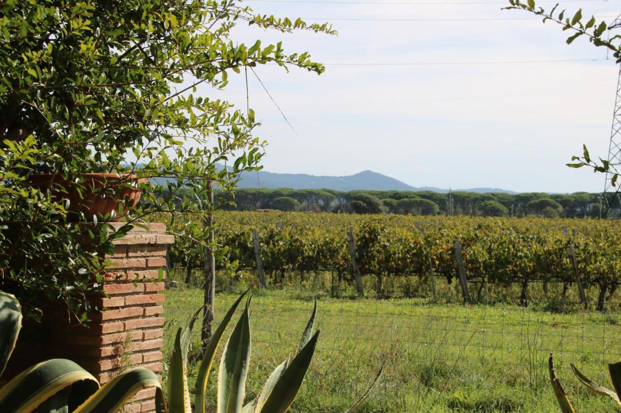 Podere Campo Alle Serpi Bibbona Exterior foto