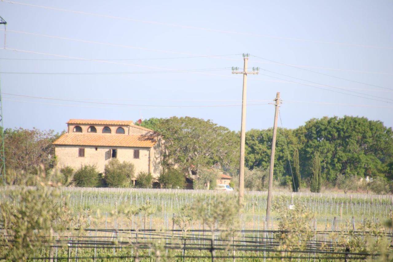 Podere Campo Alle Serpi Bibbona Exterior foto