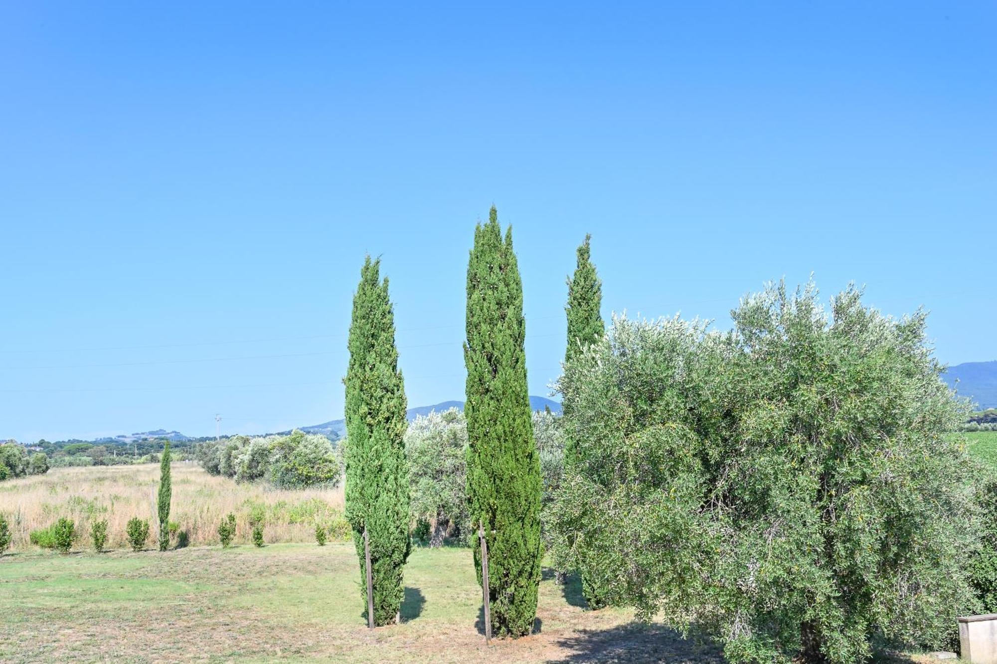 Podere Campo Alle Serpi Bibbona Quarto foto